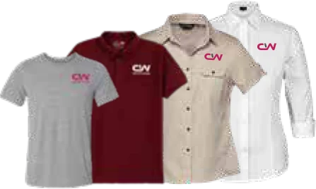 T-shirts e traje corporativo